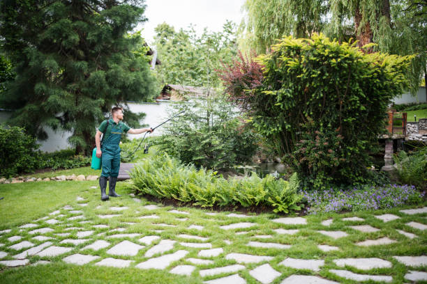 Best Mosquito Control Services  in Rock Falls, IL