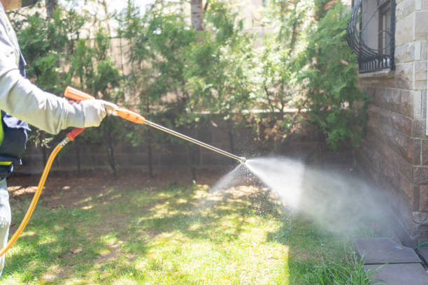 Best Affordable Pest Control Services  in Rock Falls, IL